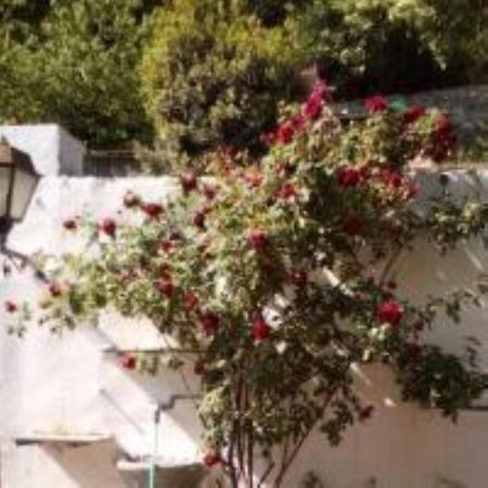 Cose Preziose Otel Azeglio Dış mekan fotoğraf